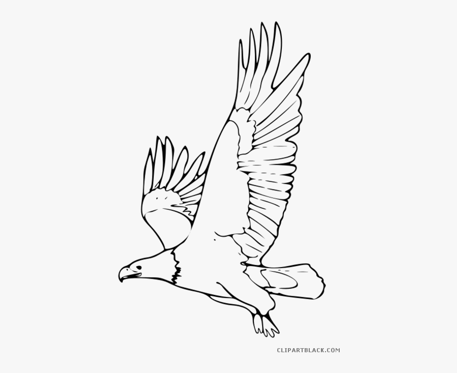 Drawing Feather Black And White - Flying Eagle Clipart Black And White, Transparent Clipart