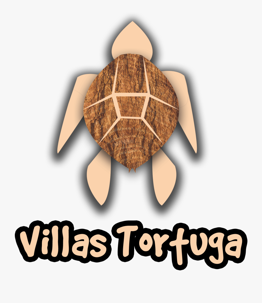 Olive Ridley Sea Turtle, Transparent Clipart