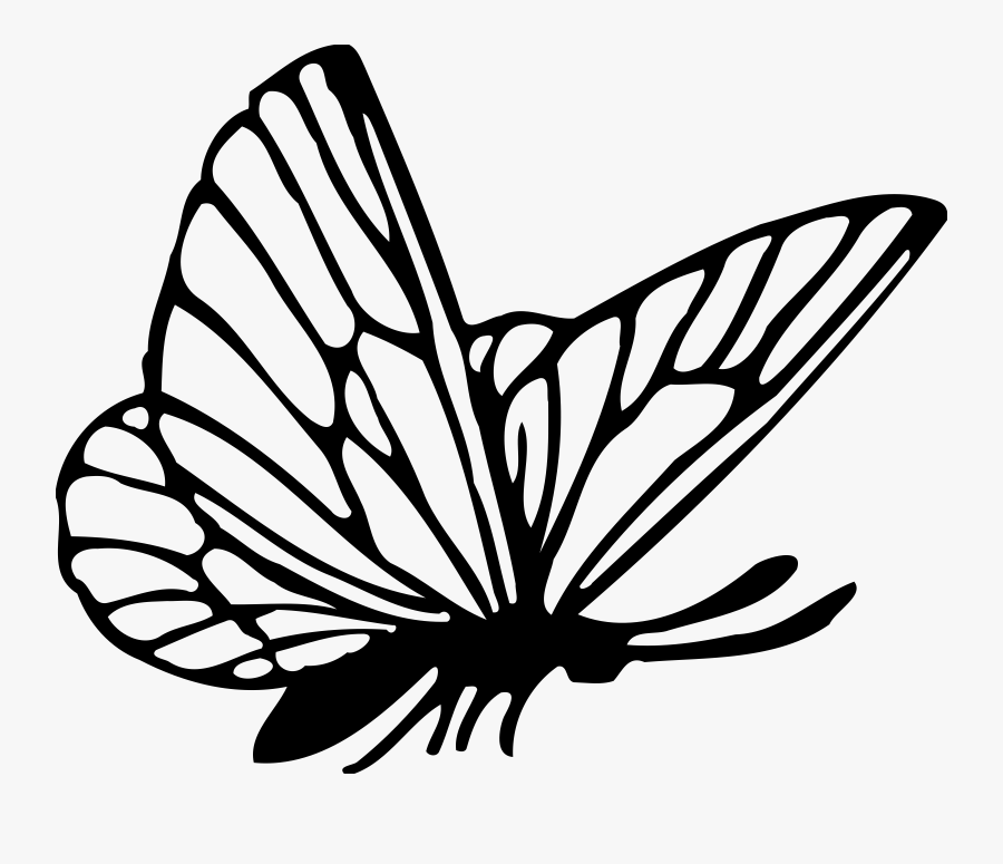 Animal Butterfly Insect Free - Butterfly Drawing Png, Transparent Clipart