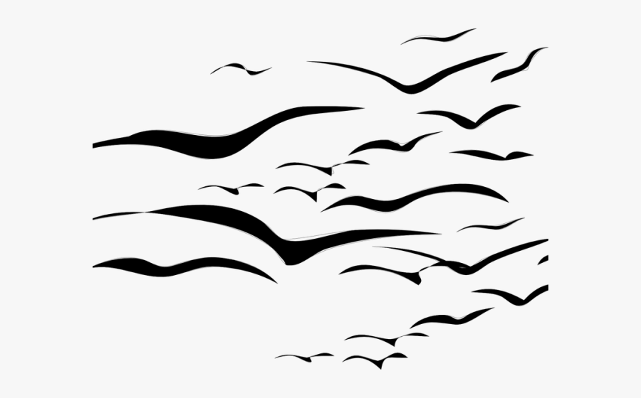 Flock Of Birds Clipart Seagull - Flock Of Birds Clipart, Transparent Clipart