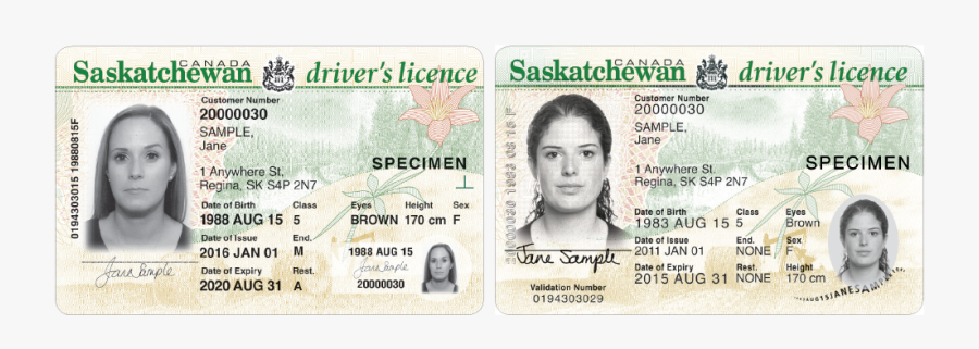 Saskatchewan Drivers License Number, Transparent Clipart