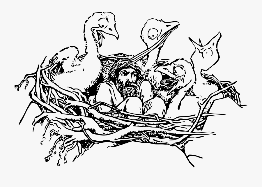 Birds In Nest Outline, Transparent Clipart