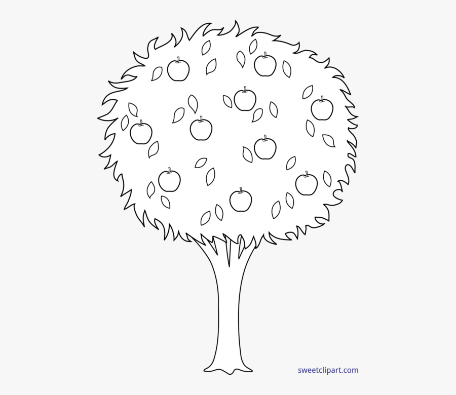 Transparent Apple Tree Clipart Black And White - Line Art Orange Tree, Transparent Clipart