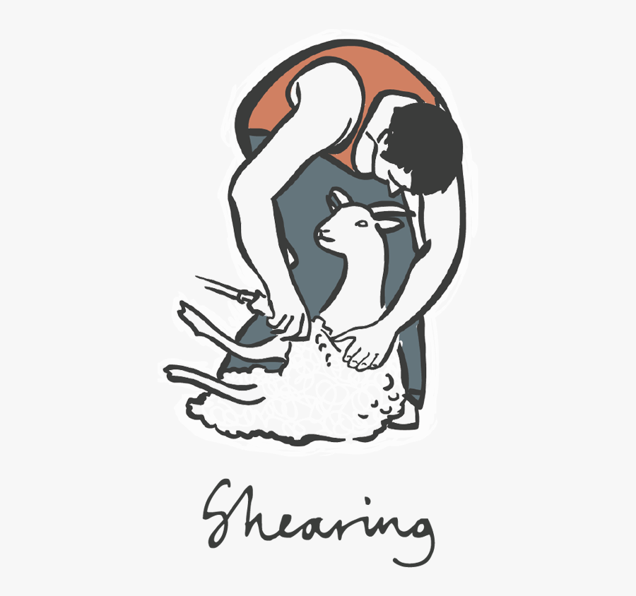 Skye Weavers Shearing - Illustration, Transparent Clipart