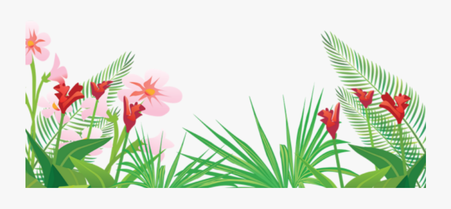 #tropical #summer #palm #tree #palmera #summerfun #summerflowers - Vector Tropical Flower Png, Transparent Clipart