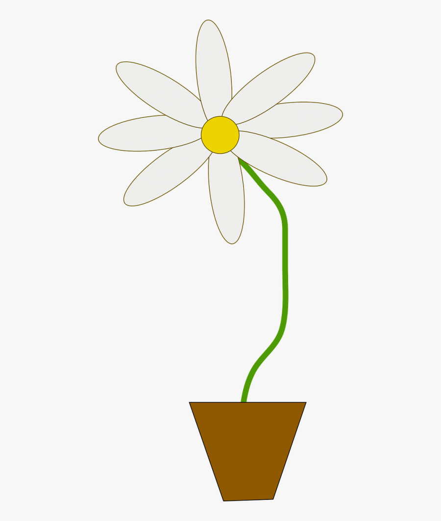 Flower Flower Pot Potted - Flower In A Pot Animated, Transparent Clipart