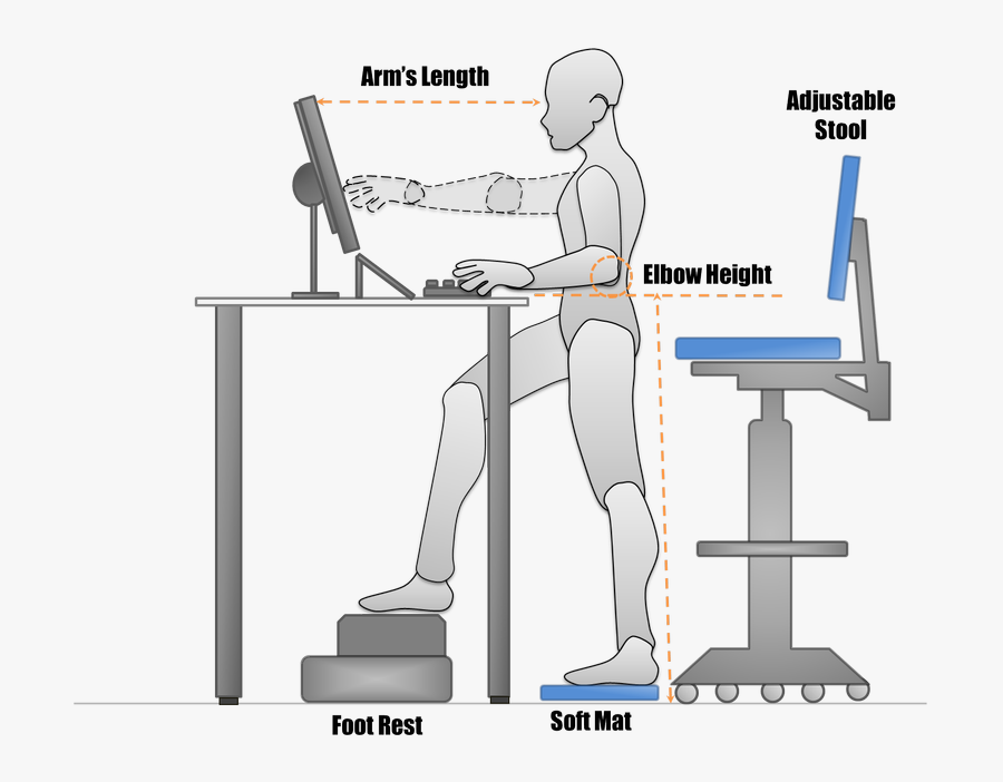 Transition Your Office To Sit To Stand Desks Ethosource - Standing Sitting Workstation, Transparent Clipart