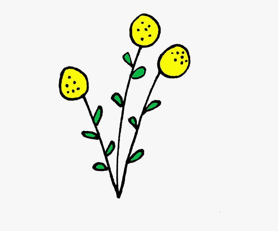 Flower, Dandelion, Faded Dandelion, Sun, Garden, Grass - Faded Flower Png, Transparent Clipart