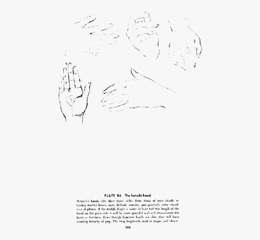 Andrew Loomis Drawing The Head And Hands 131 - Drawing, Transparent Clipart