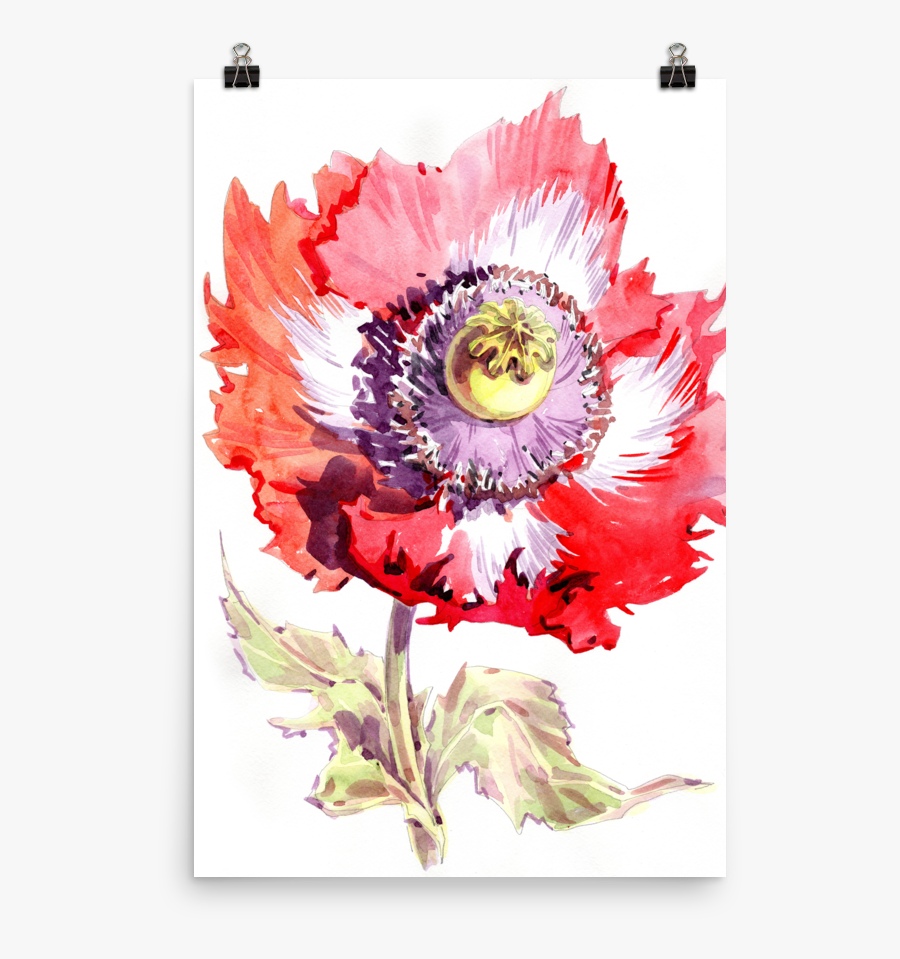 Clip Art Poppy Watercolor - Watercolor Painting, Transparent Clipart