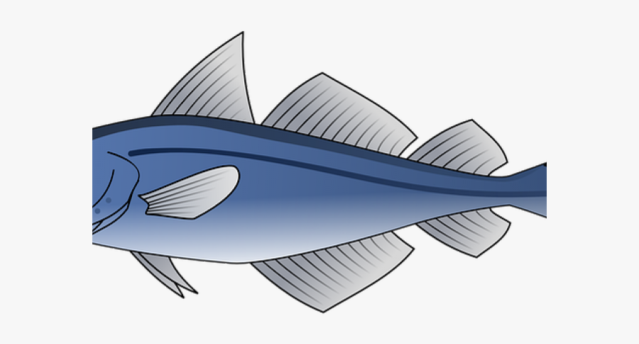 Fish Respiratory System, Transparent Clipart