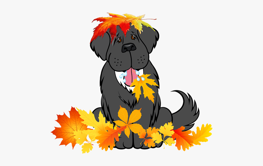 Picture - Dog Yawns, Transparent Clipart