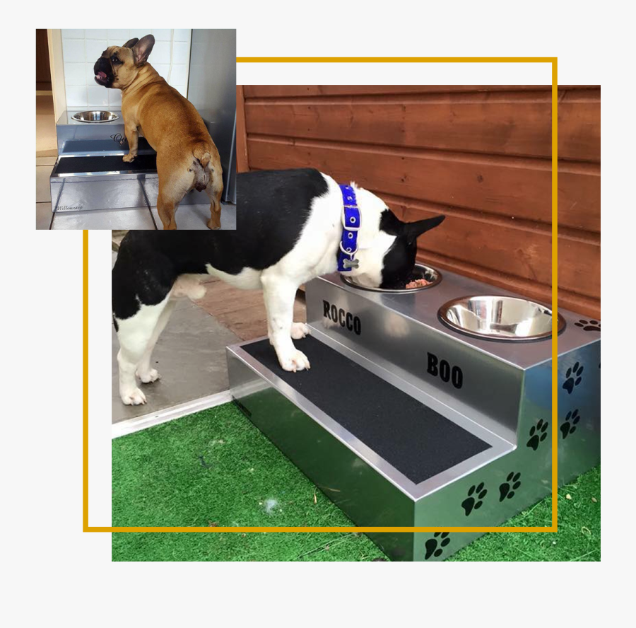 Elevated Dog Bowls - French Bulldog Elevated Feeding, Transparent Clipart