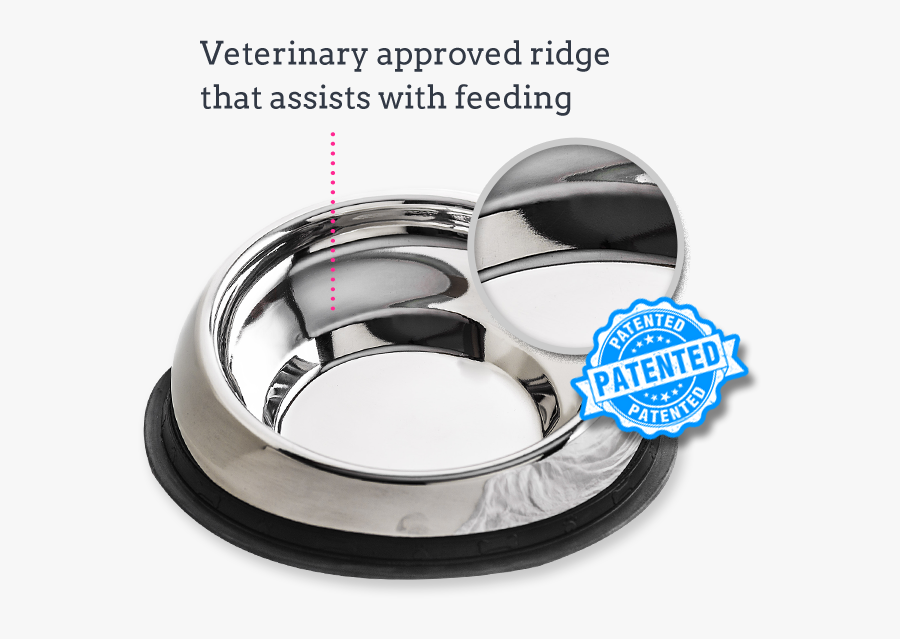Dog Bowl For Flat Faced Dogs, Transparent Clipart