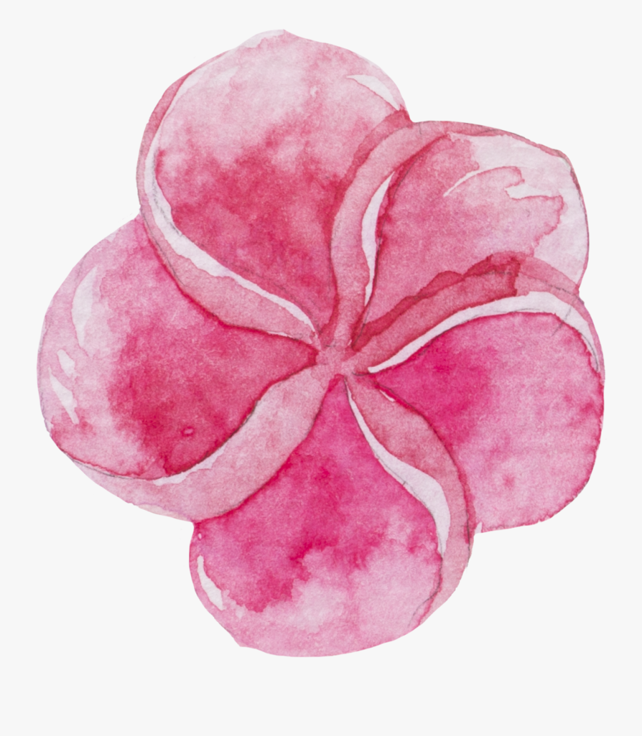 Transparent Sweet Pea Png - Watercolor Stickers Download, Transparent Clipart