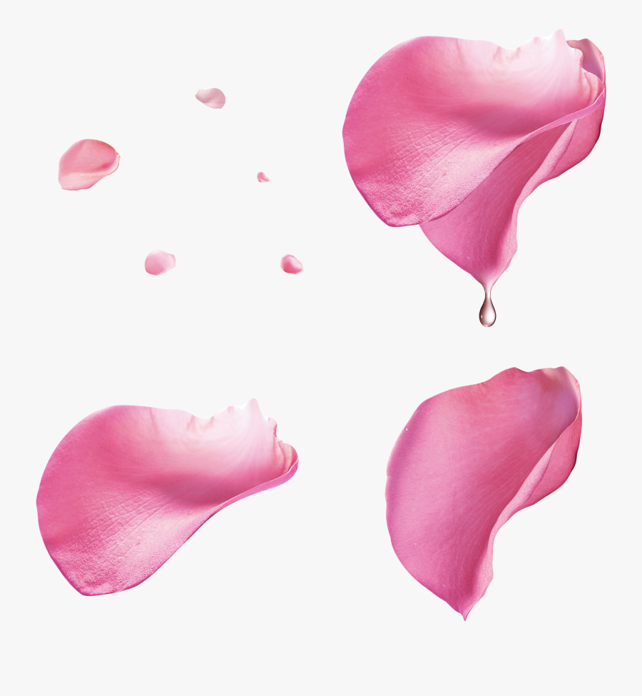 Pink Rose Petal Floating Material - Pink Rose Petals Png, Transparent Clipart