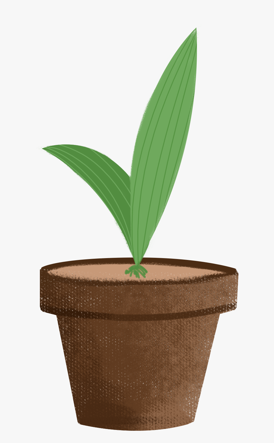Germination Green Plant Potted Png And Psd - Houseplant, Transparent Clipart