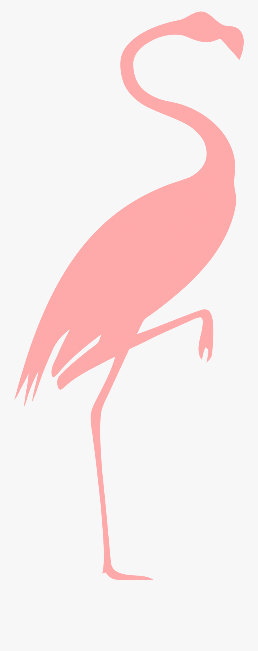 Flamingo Outline Pink , Free Transparent Clipart - ClipartKey