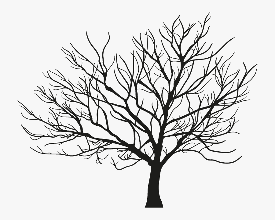 Tree Branch Winter - Winter Trees Vector, Transparent Clipart