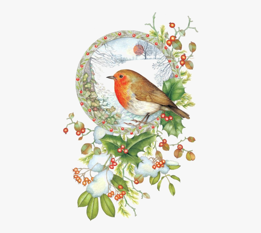 Clip Art Bird Christmas Cards - Robin Redbreast Christmas, Transparent Clipart