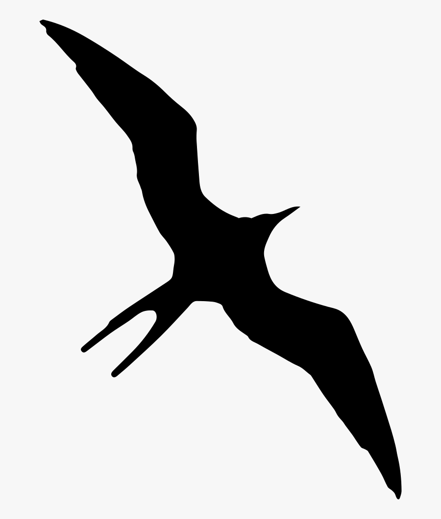 Christmas Frigatebird Gulls Silhouette Ascension Frigatebird - Frigate Bird Clip Art, Transparent Clipart