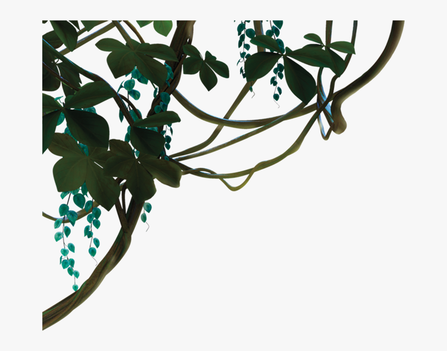 Transparent Vines Png - Jungle Vines Transparent Background, Transparent Clipart