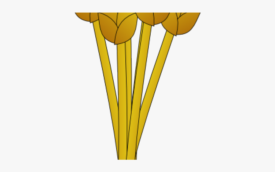 Tulip, Transparent Clipart