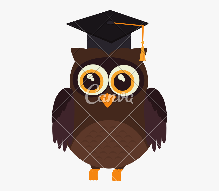 Transparent Graduation Owl Clipart - Owl With Hat Vector, Transparent Clipart