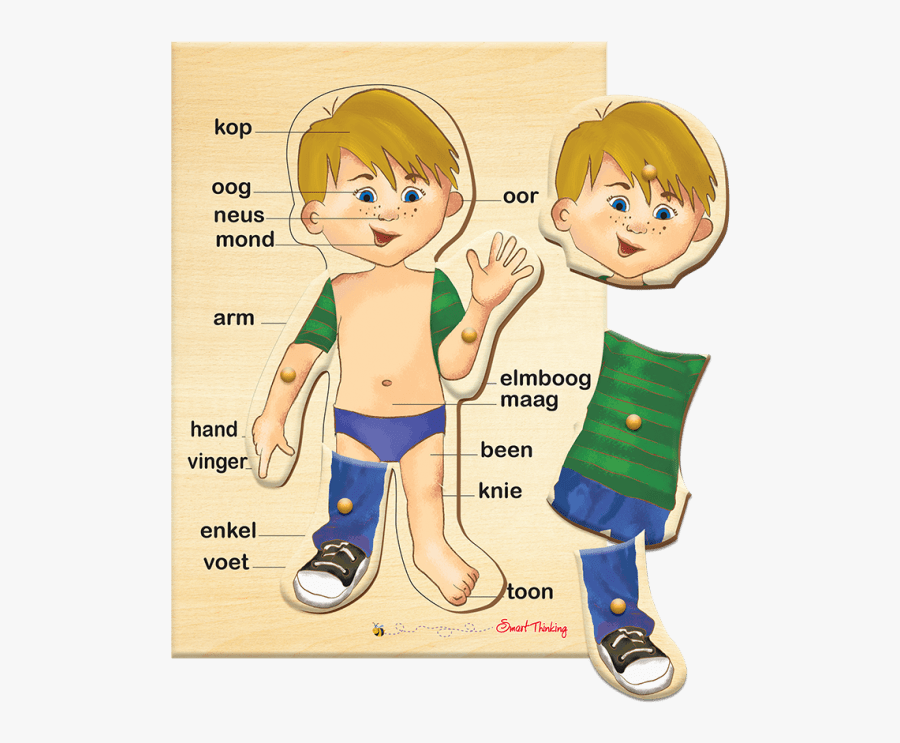 Leg Clipart Voet - Cartoon, Transparent Clipart