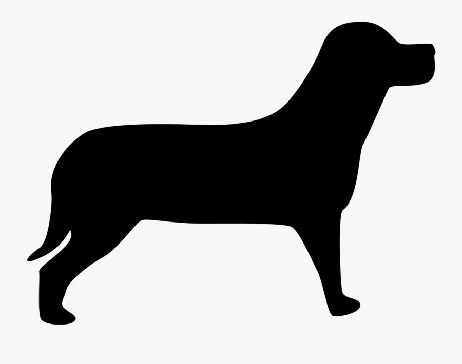 Poodle Welsh Terrier Bombay Cat Pet Sitting - Dog Black Shadow, Transparent Clipart