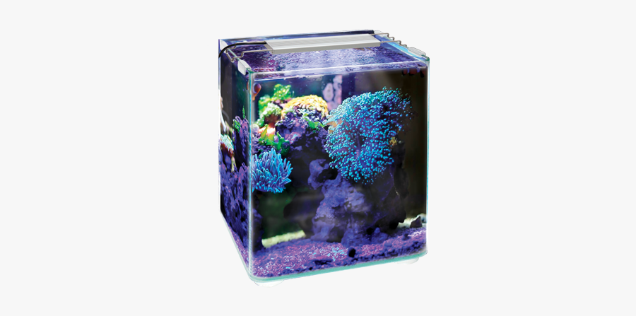 My Little Ocean - My Little Ocean Aquarium, Transparent Clipart
