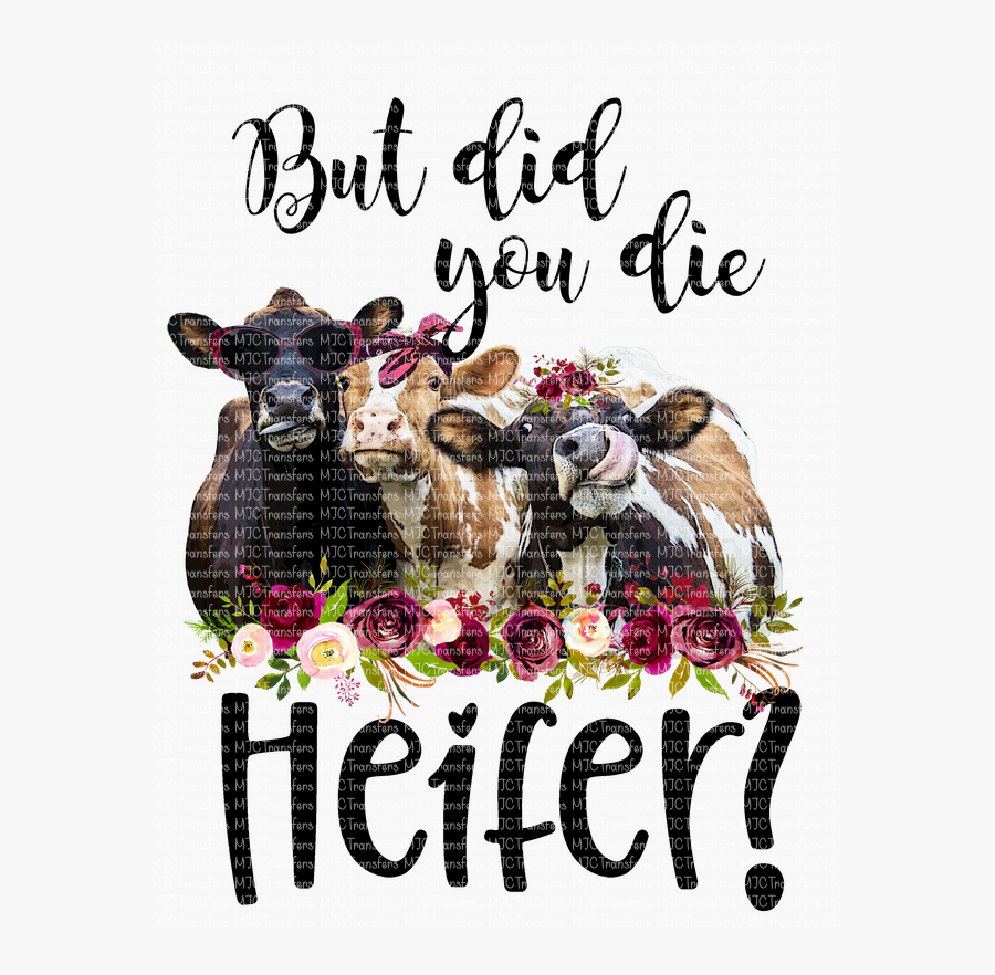 But Did You Die Heifer, Transparent Clipart