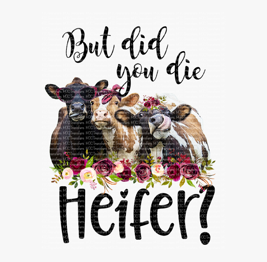 But Did You Die Heifer , Free Transparent Clipart - ClipartKey