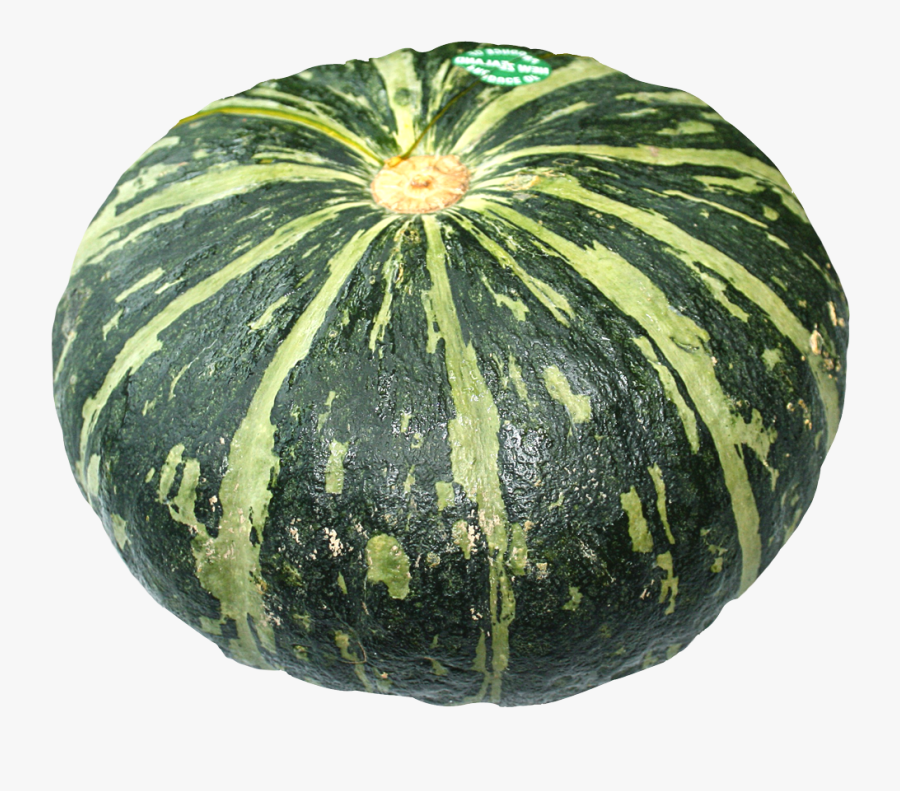 Pumpkins And Gourds Png - Squash Png, Transparent Clipart