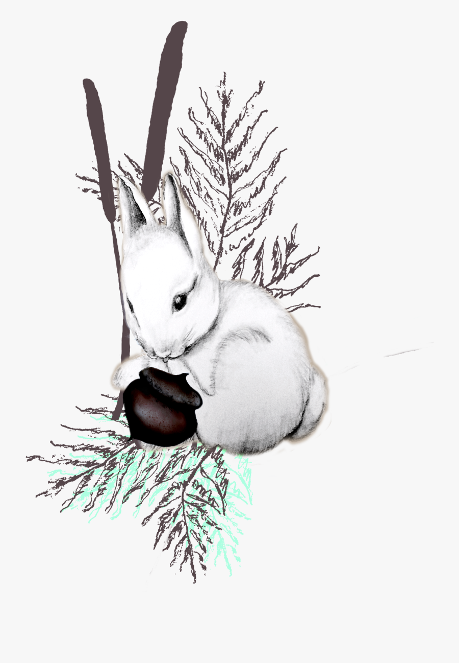 Vintage Style White Bunny In Nature Perfect For A Kids, Transparent Clipart