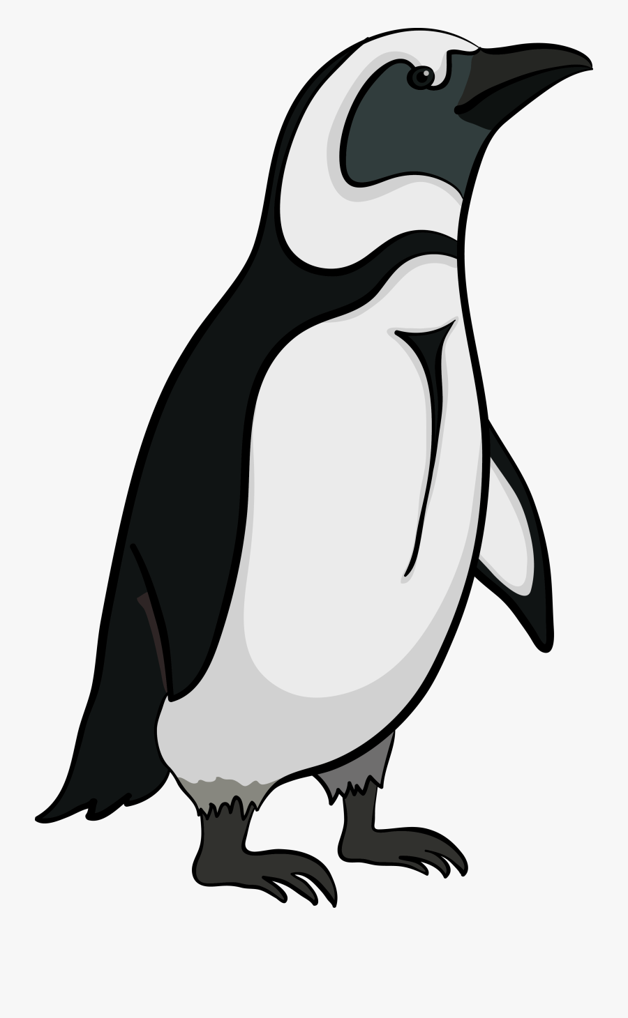 Antarctica Drawing Emperor Penguin - African Penguin Clip Art, Transparent Clipart