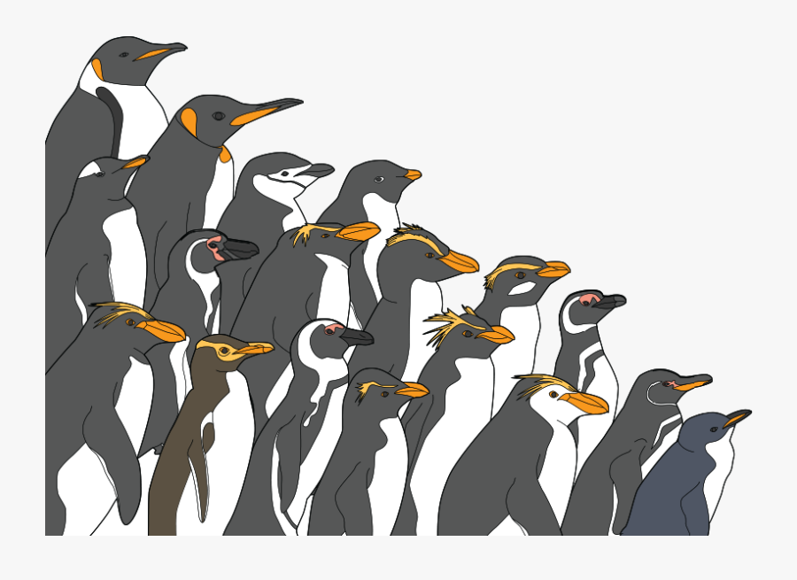 Nothreat - World Distribution Of Penguins, Transparent Clipart