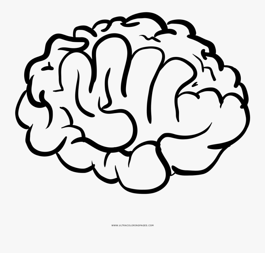Brain Coloring Page , Free Transparent Clipart - Clipartkey