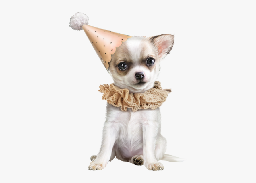 Chihuahua Dog Png, Transparent Clipart