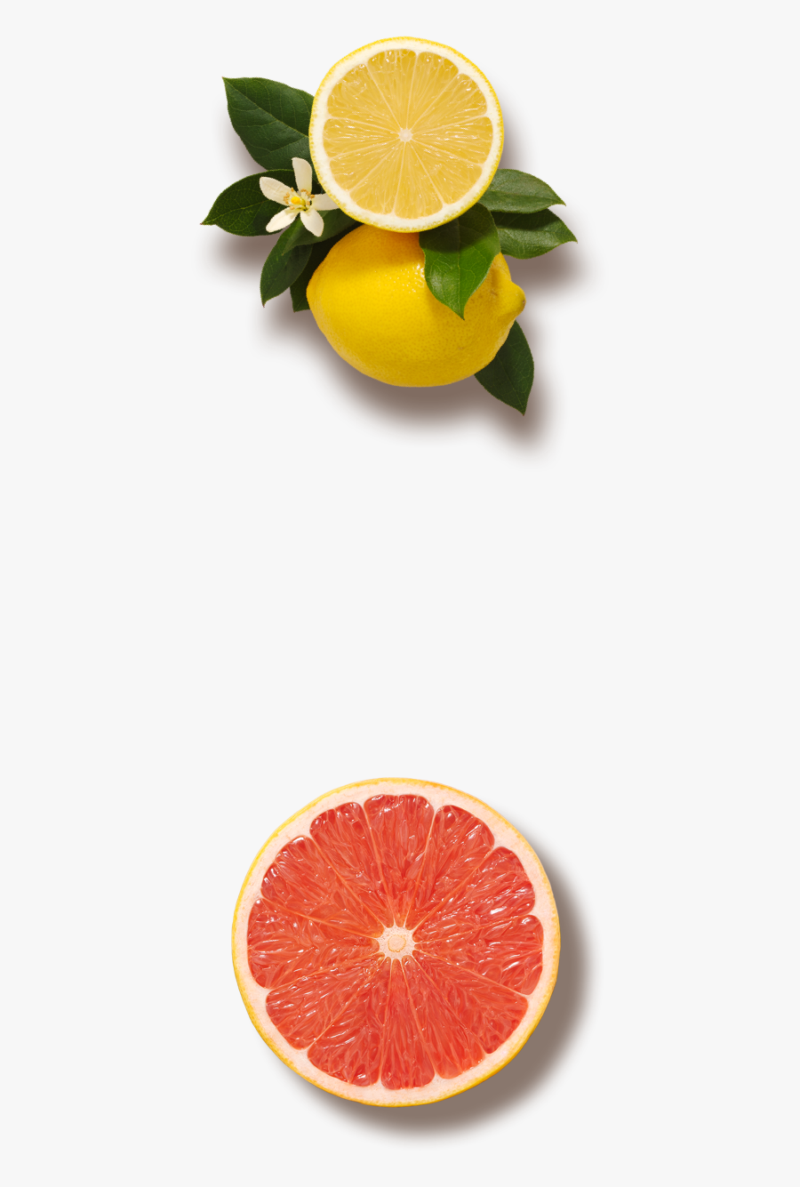 Grapefruit, Transparent Clipart