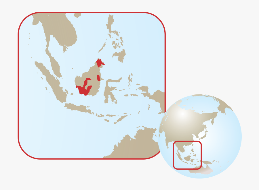 Transparent Orangutan Png - Majapahit Empire Map, Transparent Clipart