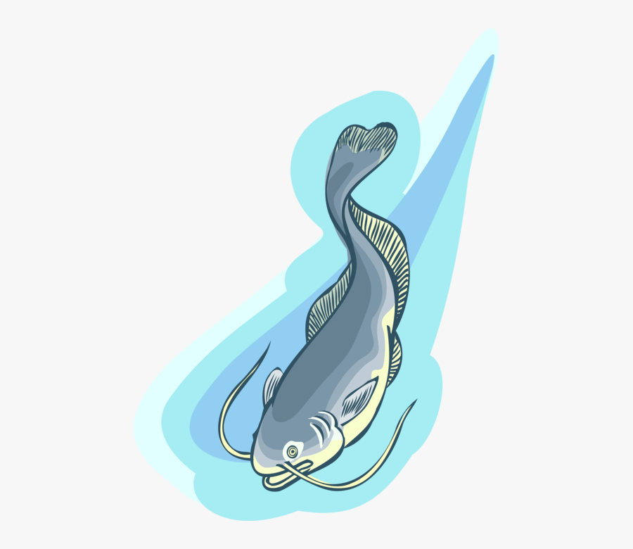 Transparent Fish Swimming Clipart - Illustration, Transparent Clipart