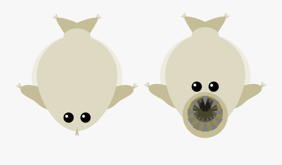 The Bloop Mopeio Want - Mope Io Whale Shark, Transparent Clipart