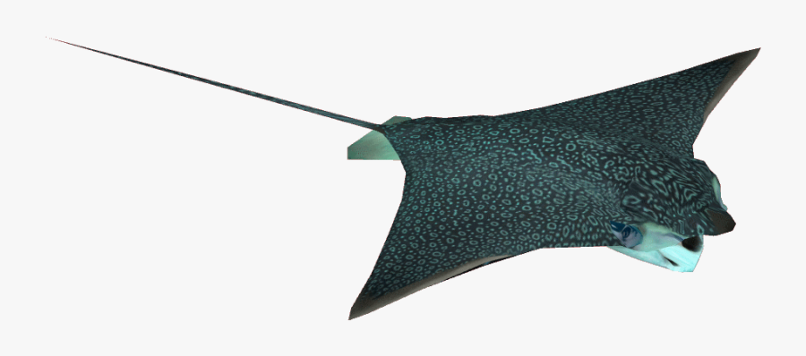 Eagle Ray Dutchdesigns Zt Download Library Wiki - Umbrella, Transparent Clipart