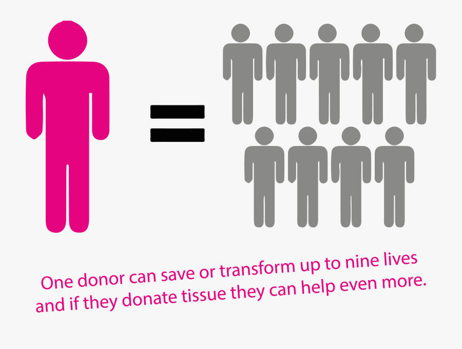 One Donor Can Save 9 Lives, Transparent Clipart