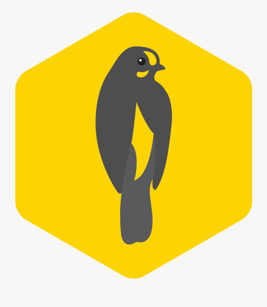 Honeyguide Logo - Bird Icon Honeyguide, Transparent Clipart