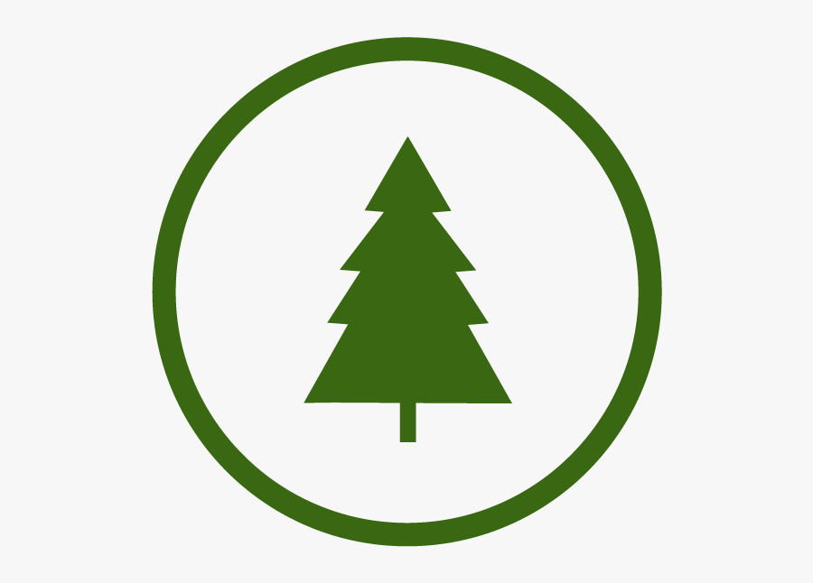 Pine Tree Silhouette Simple - Silhouette Christmas Tree Svg Free, Transparent Clipart