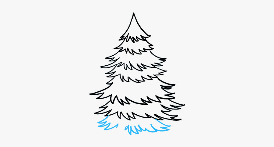 How To Draw Spruce - Easy To Draw Pine Trees, Transparent Clipart