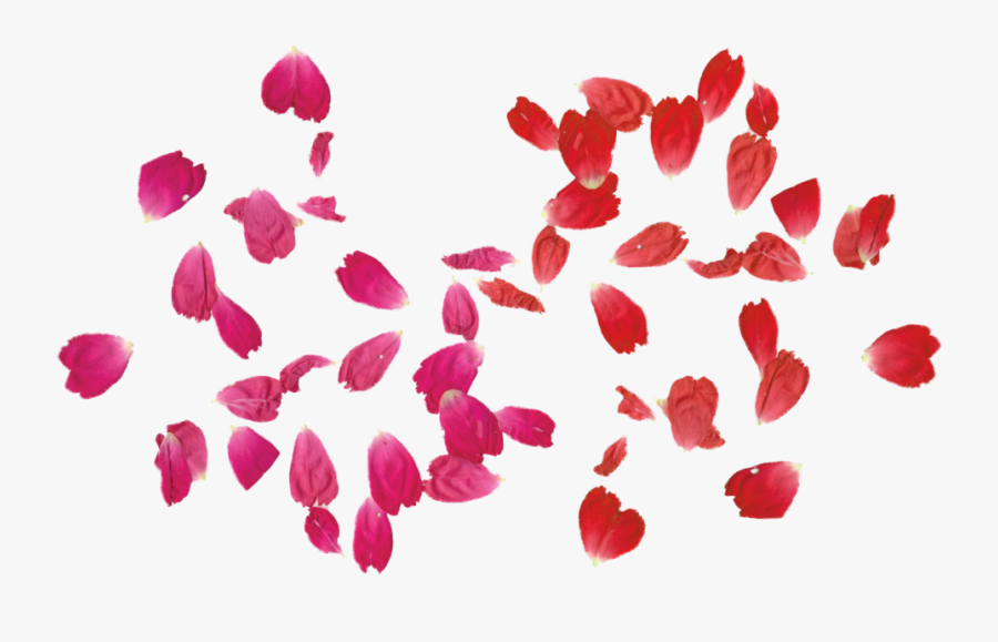 Red Rose Clipart Leaf Png - Red Rose Leaves Png, Transparent Clipart
