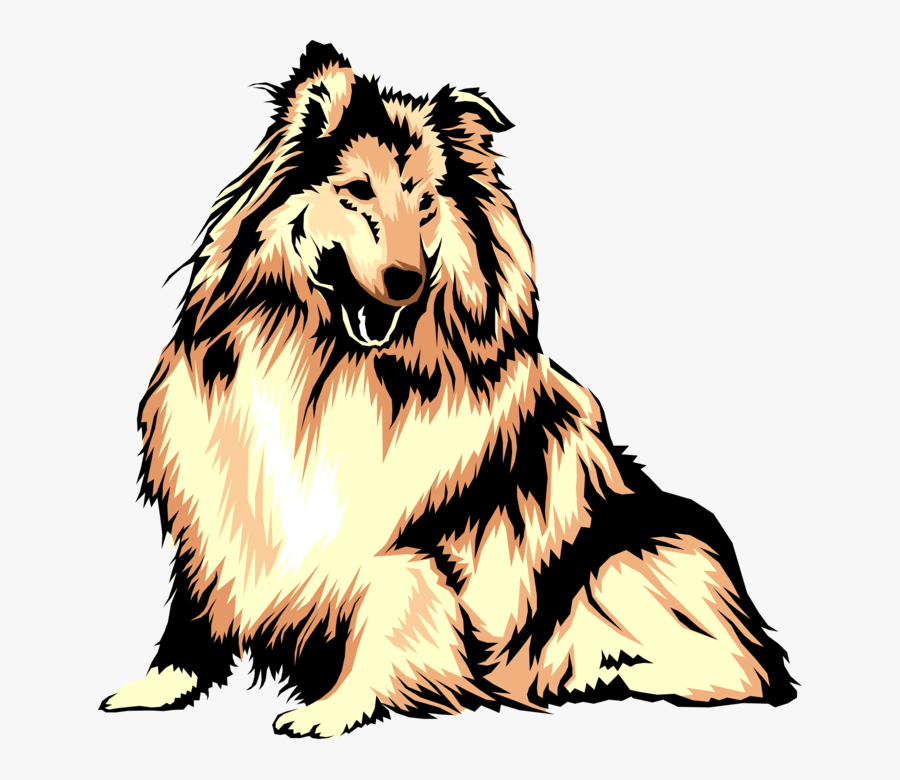 Rough Collie Sheltie Clip Art Dogids - Dog Clip Art , Free Transparent ...